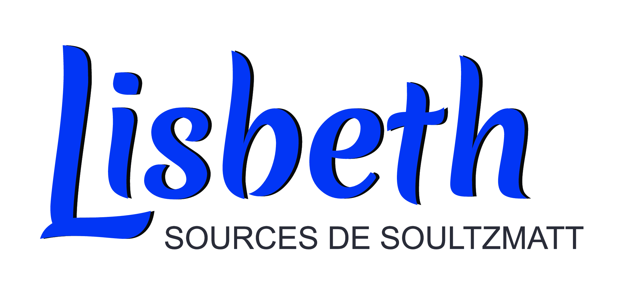 Logo Lisbeth bleu SDS
